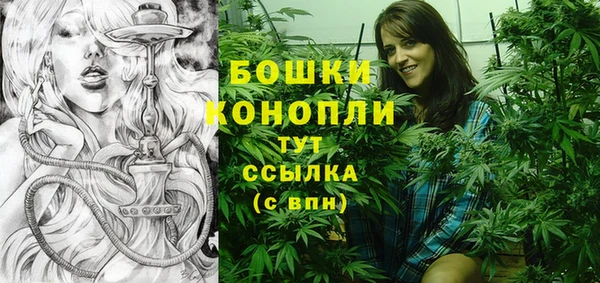 соль ск Лиски