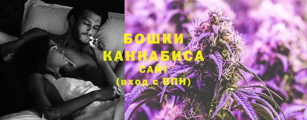соль ск Лиски