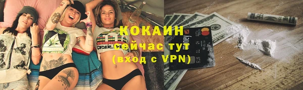 соль ск Лиски