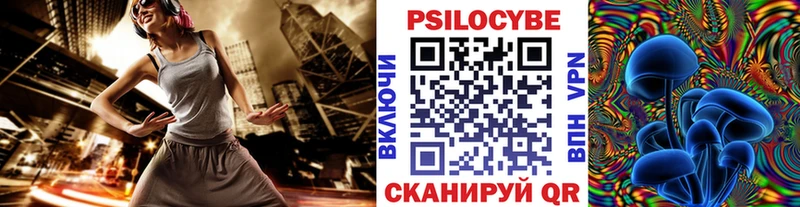 Псилоцибиновые грибы Psilocybe  наркошоп  Чухлома 